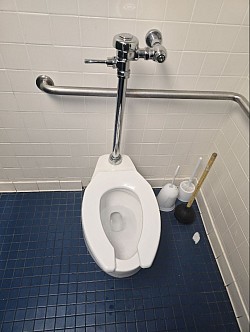 Toilet clog