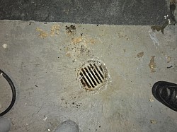 Mainline and floor drains